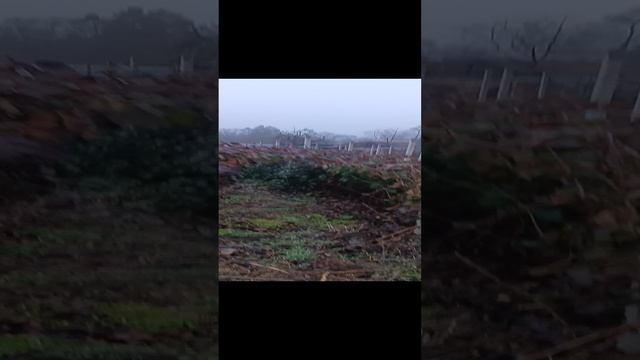 1000134188.mp4