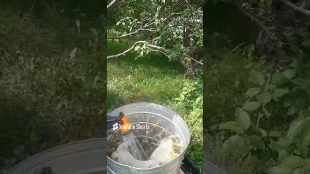 пересъёмная машина своими руками