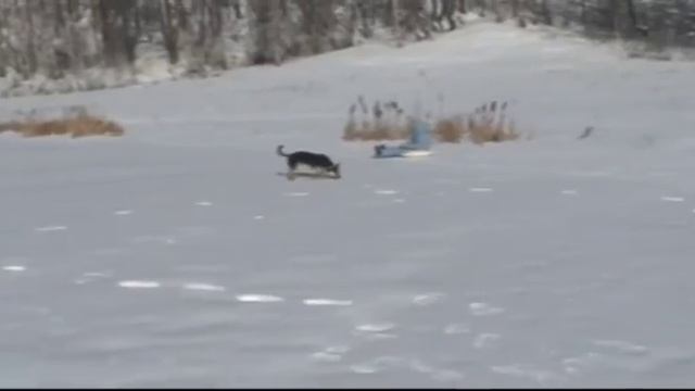 Тюбинг на пруду. 😀👍❄️