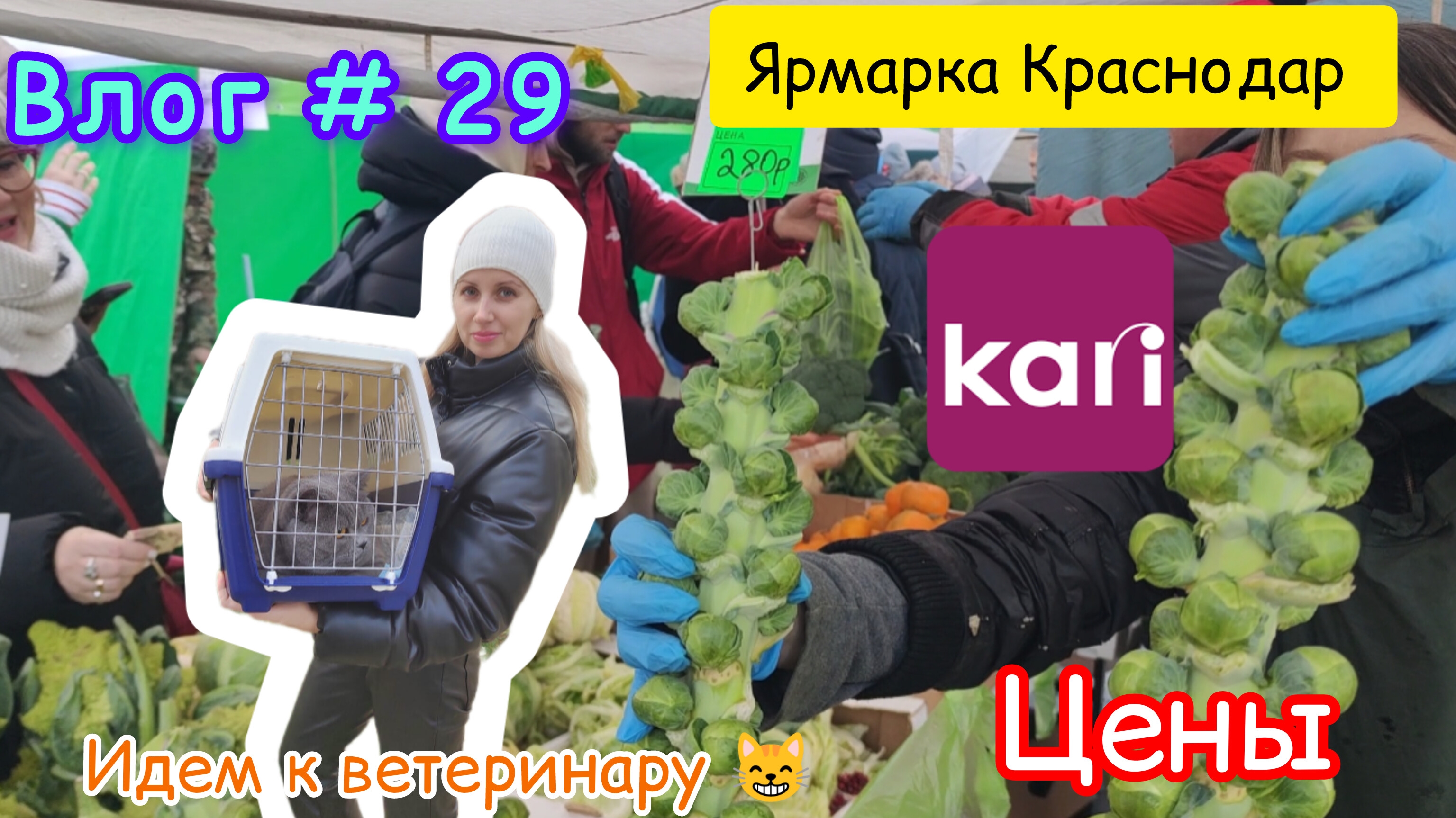 Влог #29. Домашняя бытовуха. Болталка. Цены на ярмарке в Краснодаре. Уезжаем в Сочи на новый год🎄