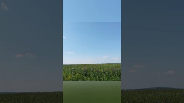 Дорога