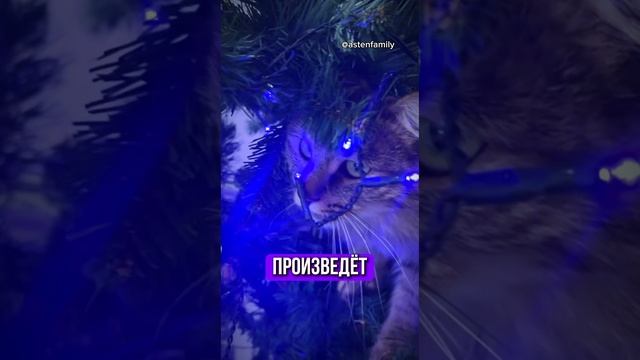 Демонтаж елки