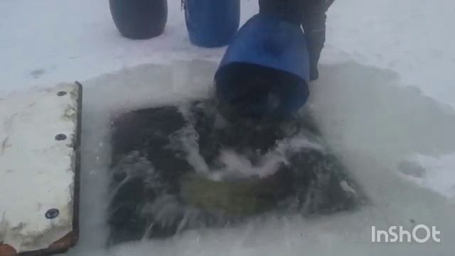 1000040931.mp4