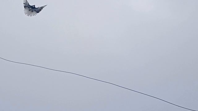 1000004637.mp4