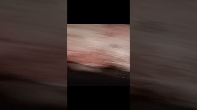 пикник
(моя любимка вторая серия)