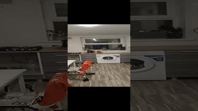 VID_20241229_193553