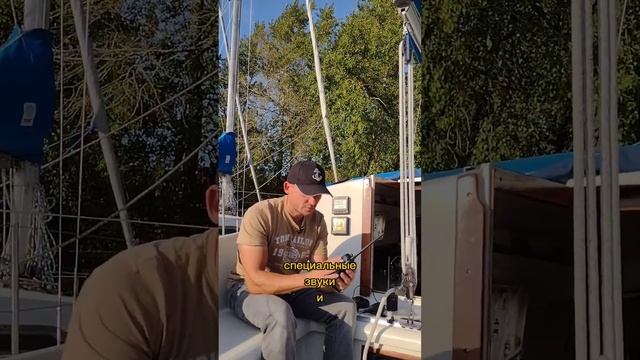 Выбор морской радиостанции #shorts #обучениеяхтингу