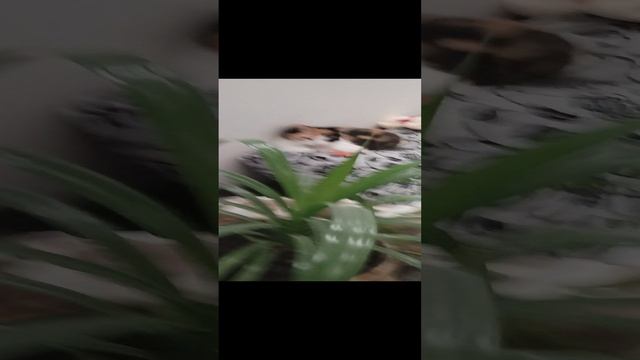 посмотри и подпишись и поставь лайк