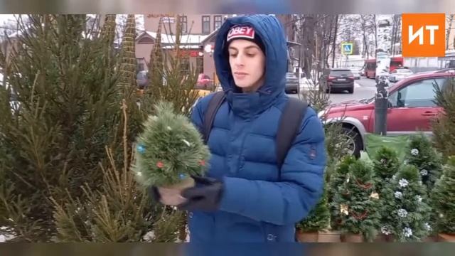 Яңа елга чыршы сайларга өйрәнәбез