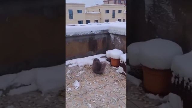 1000013394.mp4