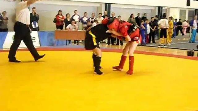 пфо по ушу , 2014 казань