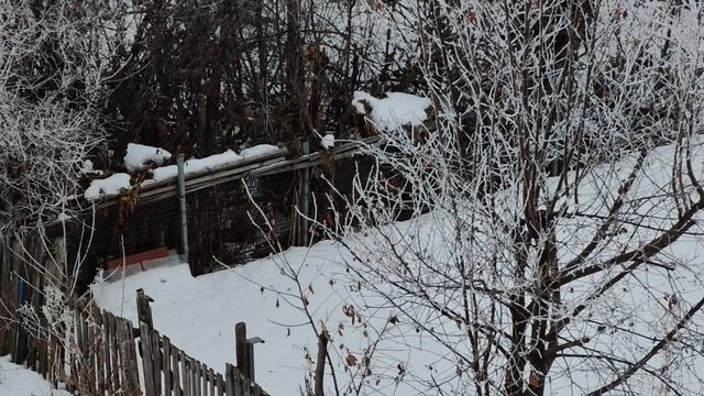 красивая деревенская зима, жизнь в деревне, деревенские будни, красота деревенской природы