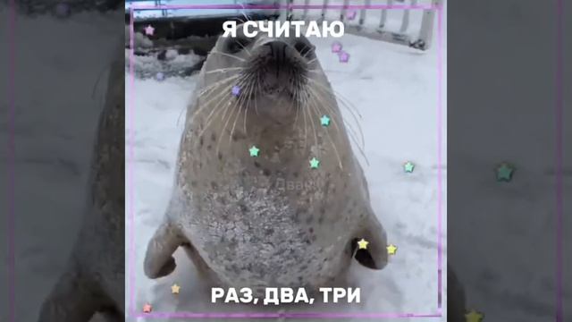КАК ТЫ СЧИТАЕШЬ?