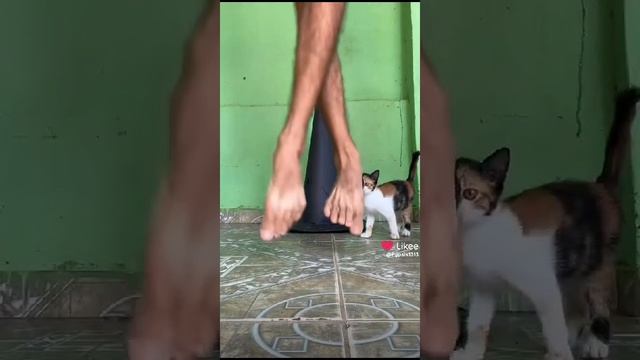 vanaini monga prain voce