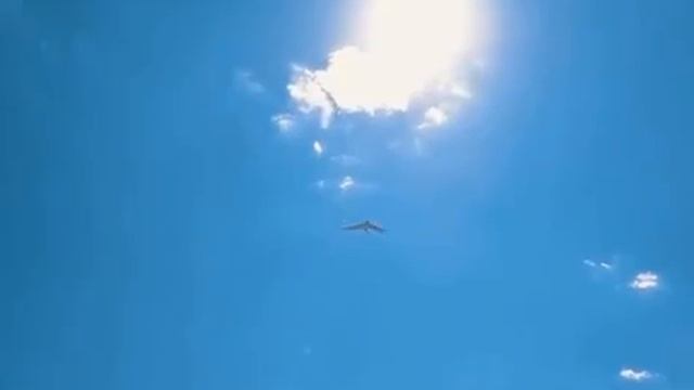 Цифровая армия Китая