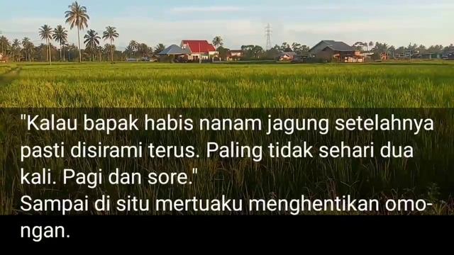 Cerpen Bapak Mertua Penyayang