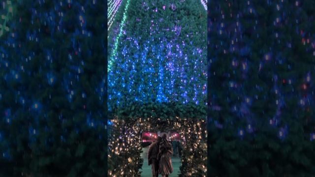 Как украсили Краснодар перед новым годом 2025