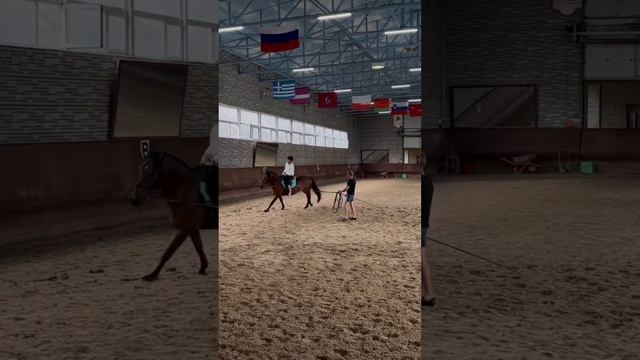 Навык: верховая езда
