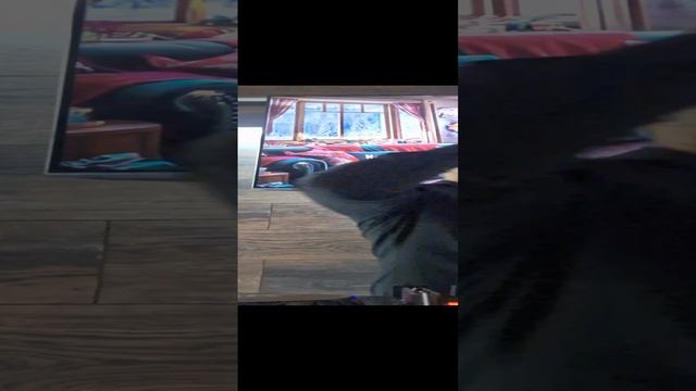 Ara vay vay RAFAYEL MKRTCHYAN