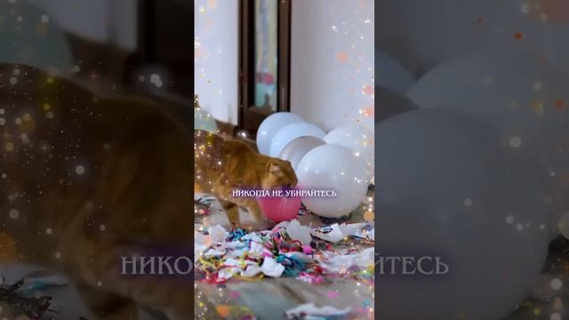 Убираться с 1 по 3 января нельзя  — таролухи говорят, что это притянет несчастье.