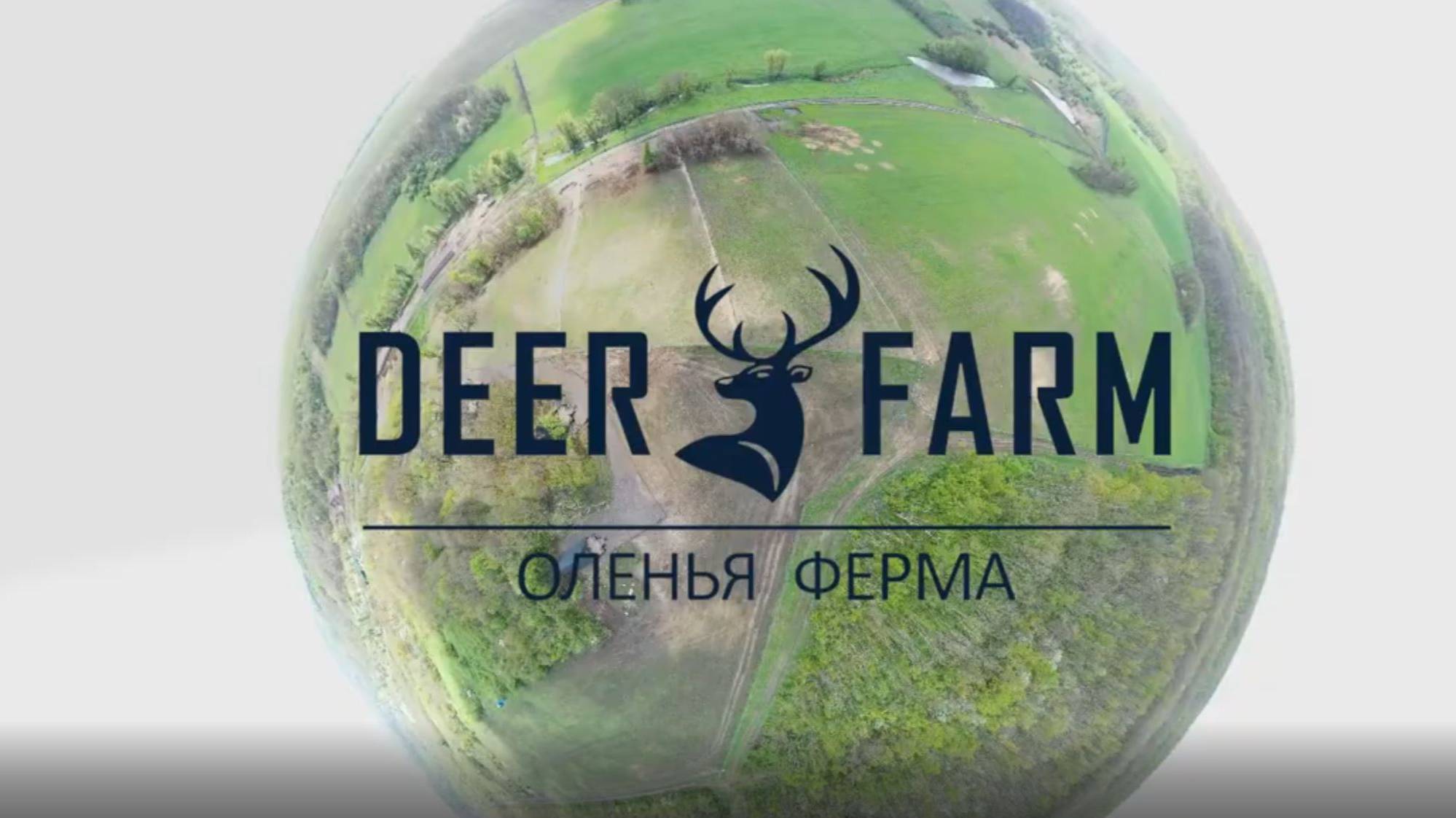 Обзор домов а-фрейм на оленей ферме Deer Farm (1)