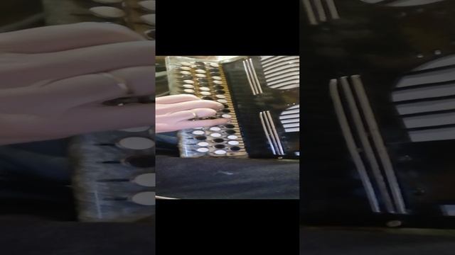 VID_20241227_193715.mp4