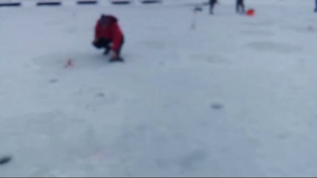 Светлые Горы Форель4 29.12.2024г.