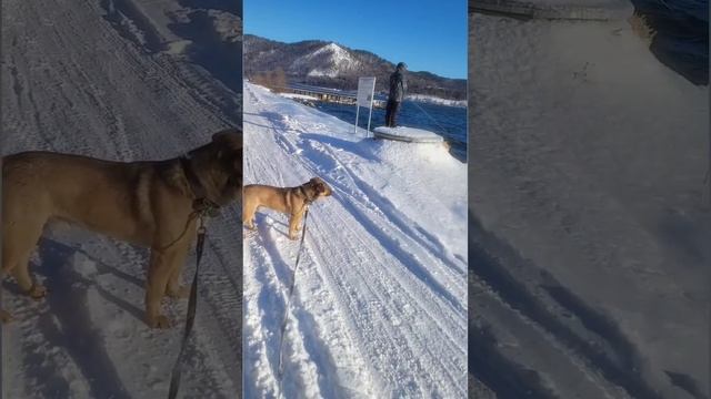 Рыбалка 🎣 в декабре на Байкале