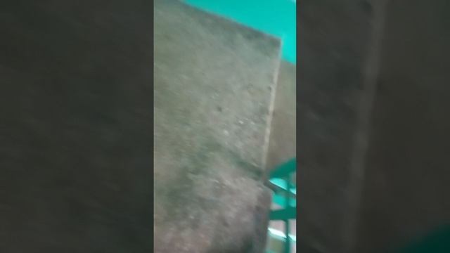 scene_output.mp4