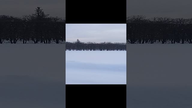 усадьба Архангельское