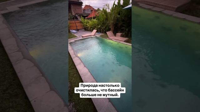 7 Что делать с птичьим гнездом