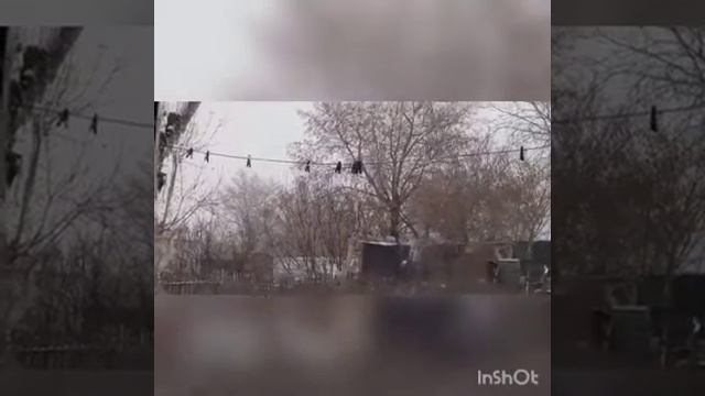зима зимушка к нам пришел первый снежок
