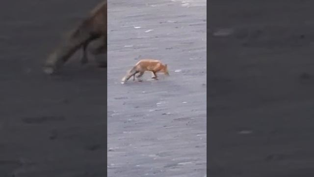 1000024160.mp4