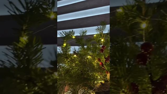 Глэмпинг "прибой" комфортный отдых на природе