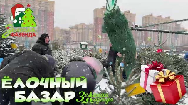 Елочный базар Зеленая Фазенда 2024! Лучший в городе!