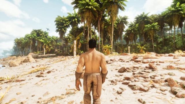 ARK: Survival Ascended on RTX 4070 TI | Epic Graphics Showcase | Biomes Gameplay [4K60]