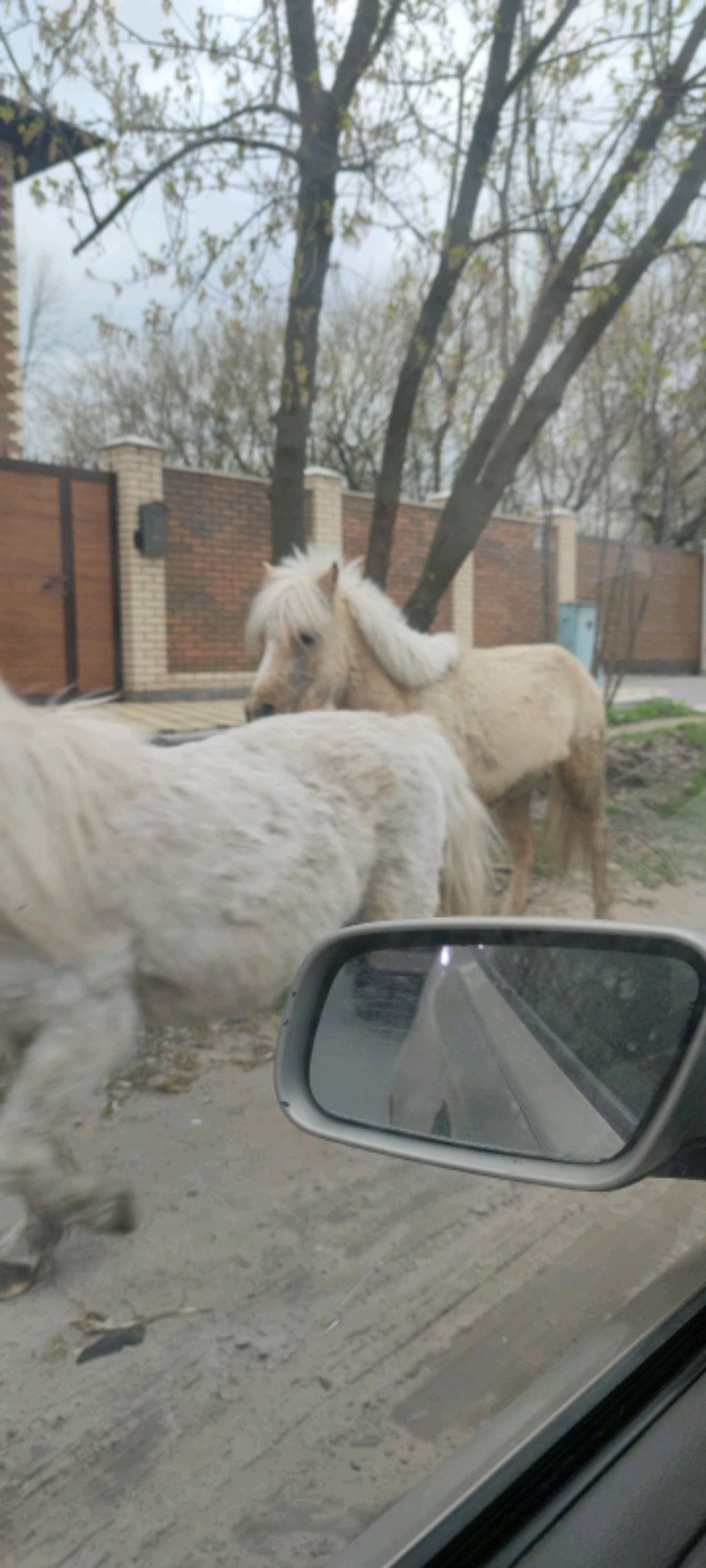 МЫ ПРИЕХАЛИ НА 2 КАНАЛЕ🤩🥳