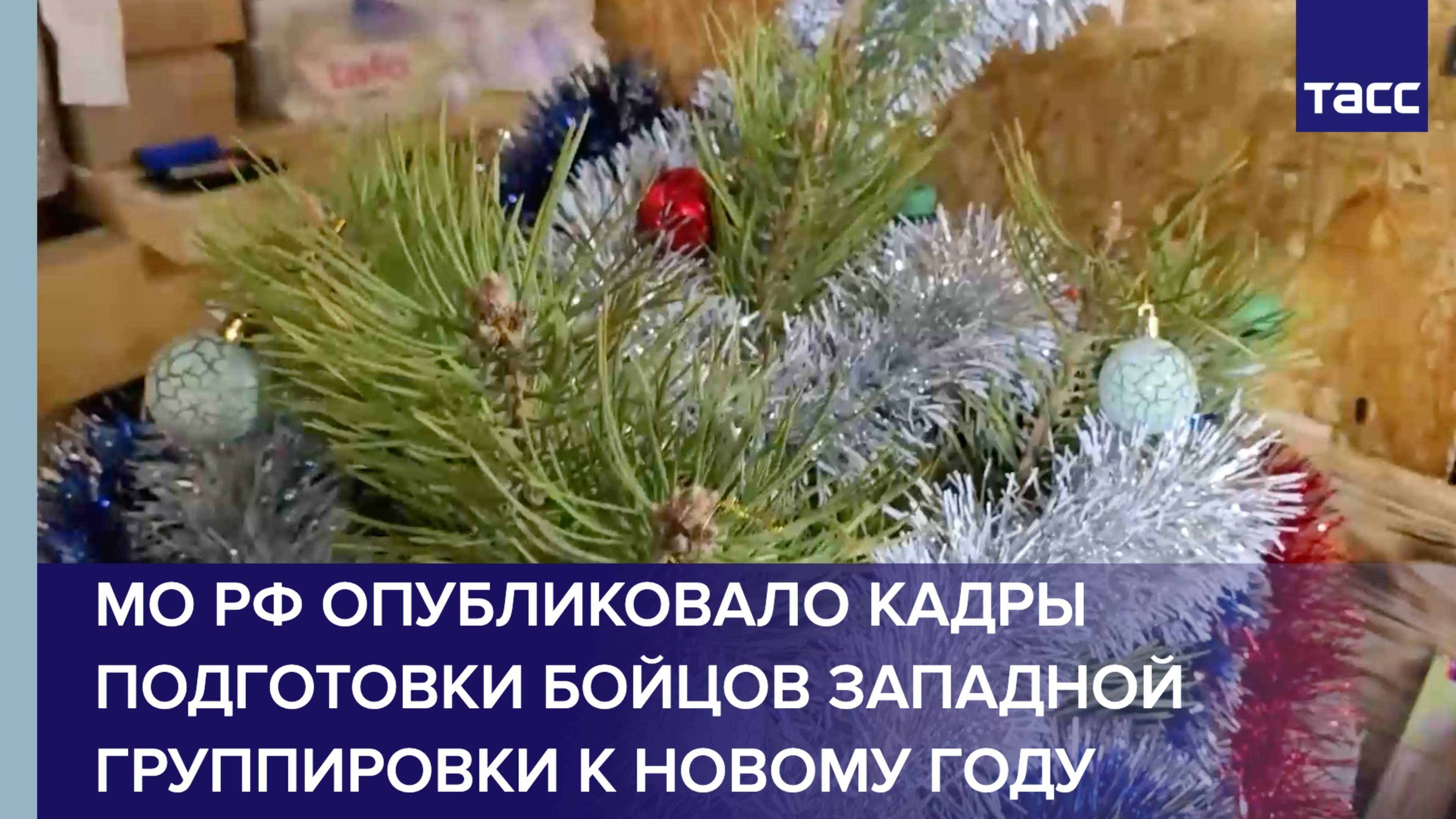 МО РФ опубликовало кадры подготовки бойцов Западной группировки к Новому году