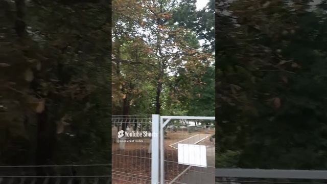 ТЕЛЕПОРТАЦИЯ!!ИЗ ЛЕТА В ОСЕНЬ!!!Shorts