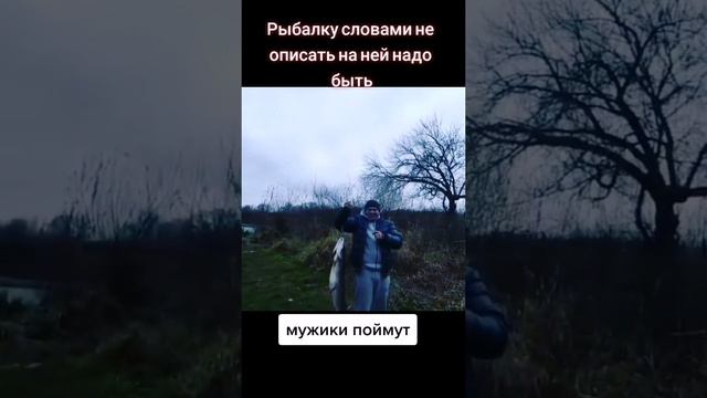 Те чувства которые словами не объяснить... #рыбалка#рыба#щука#