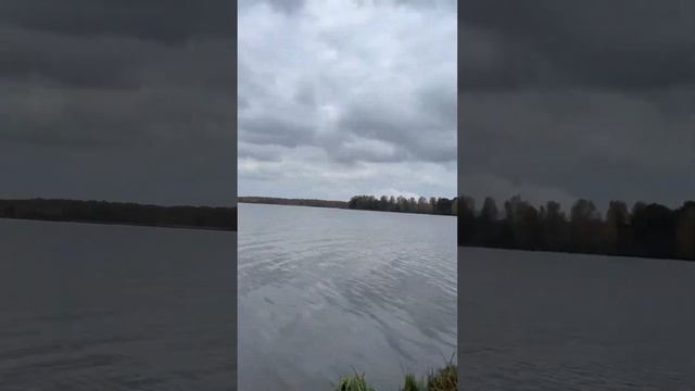 Ловля ЛЕЩА на ФИДЕР в ОКТЯБРЕ