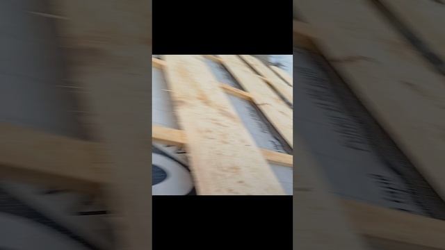 Метабо hpt