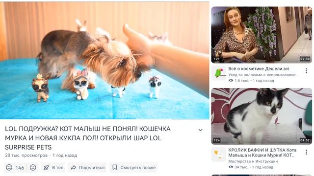 SVID_20241210_111856_1.mp4