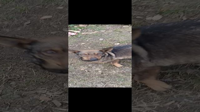 1000000438.mp4