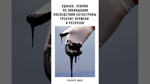 Экологическая катастрофа в Керченском проливе 15.12.2024
