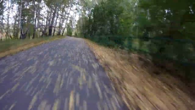 Ninebot Z10 - заходим в крутой поворот на скорости 35 км в час