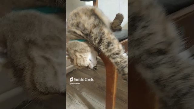 Стоим на КПП.mp4