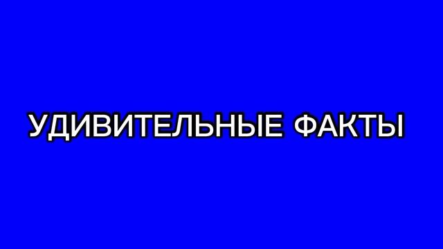 Удивительные факты!