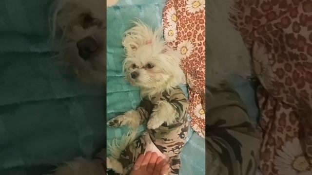 . Всегда находи время отдохнуть и расслабится. Даже металл если переколить станет хрупкий