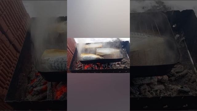 1000008420.mp4
